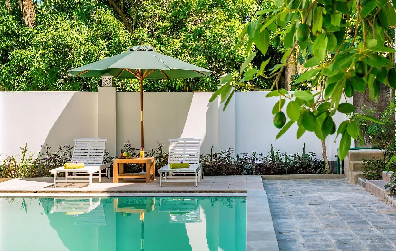 Fig Tree Boutique Villa Hoi An Resort